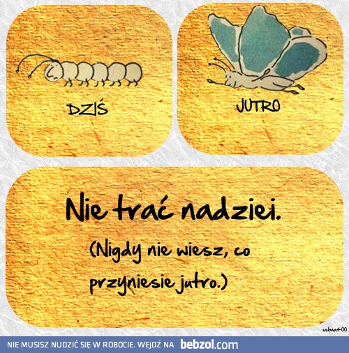 Nie trać nadziei!