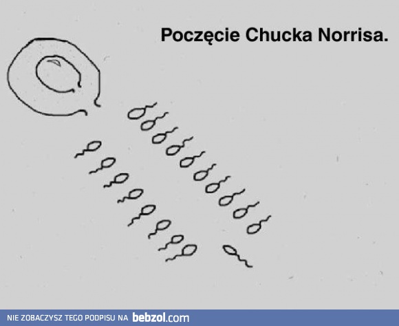 Poczęcie Chucka Norrisa