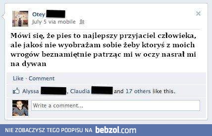 Mówi się, że pies to najlepszy przyjaciel