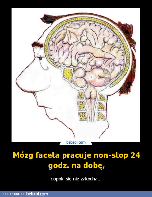 Mózg faceta pracuje non-stop 24 godz. na dobę,