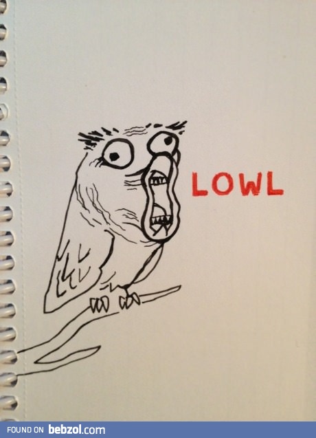 The funniest bird ever