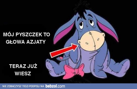 Od teraz będziesz inaczej patrzył na Kłapouchego