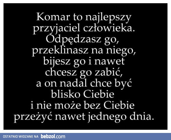 Komar to najlepszy przyjaciel człowieka