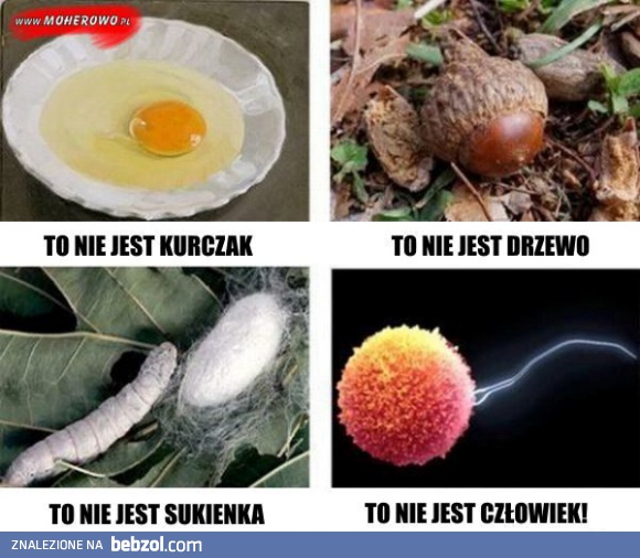 TAK TRUDNO TO ZROZUMIEĆ?