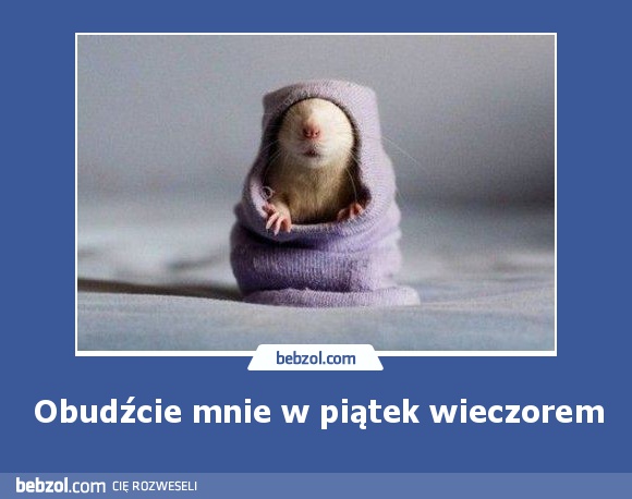 Obudźcie mnie w piątek wieczorem