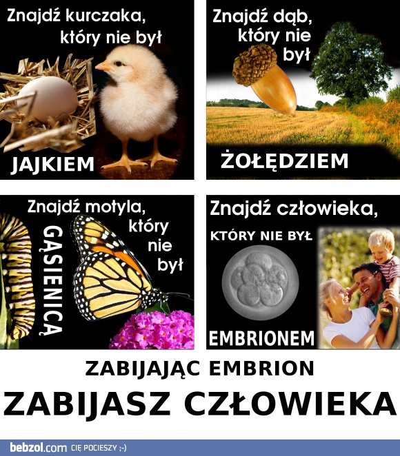 Tak trudno to zrozumieć?