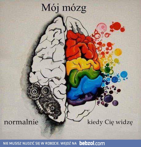 Mój mózg