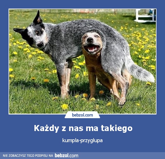 Każdy z nas ma takiego