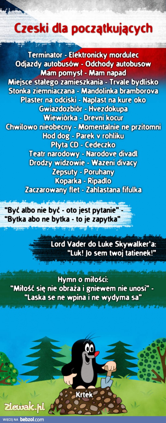 Czeski dla początkujących