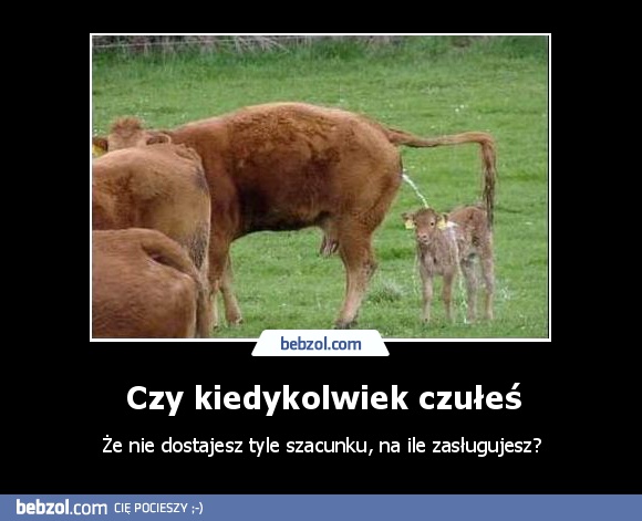 Czy kiedykolwiek czułeś