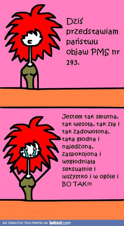 Przedstawiam wam PMS!