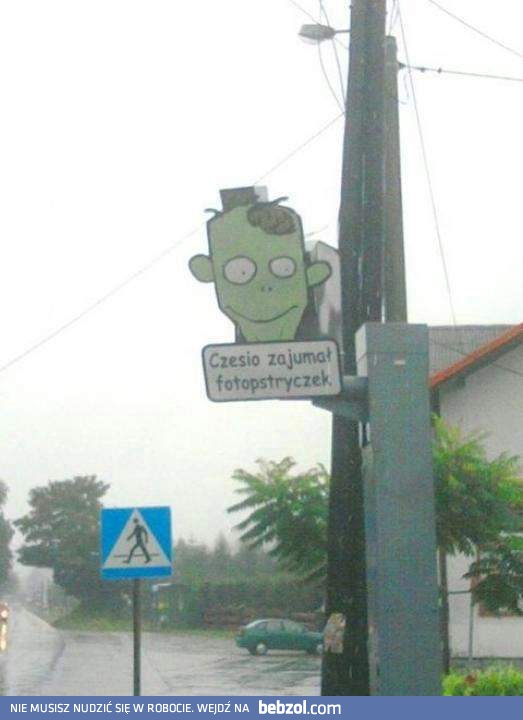 Czesio zajumał fotopstryczek