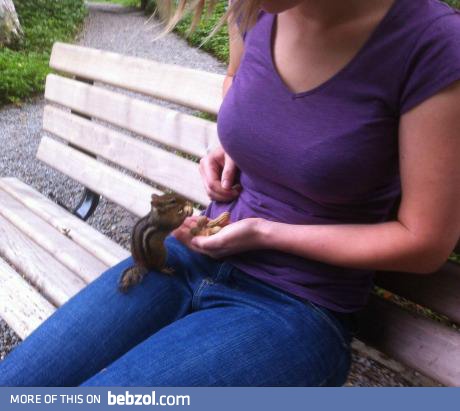 Get some peanuts, little guy