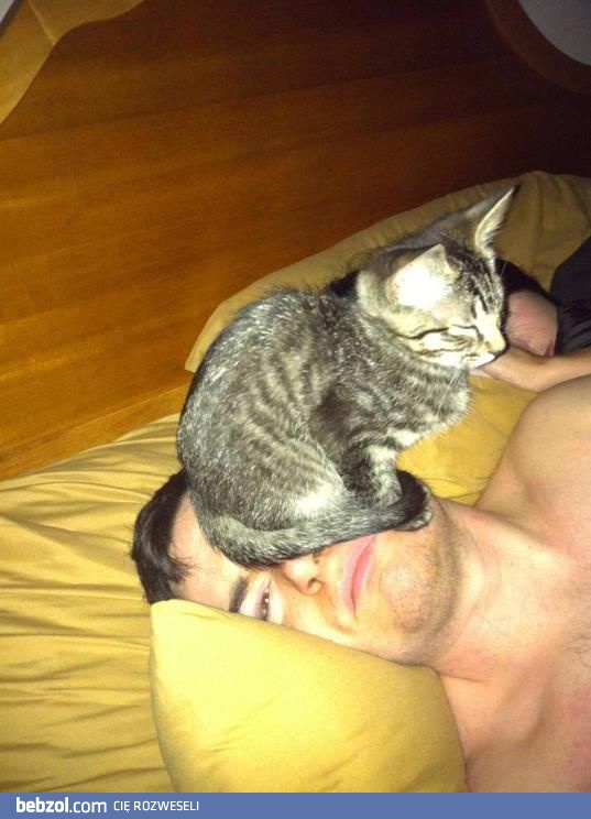 Znowu śnił mi się kot