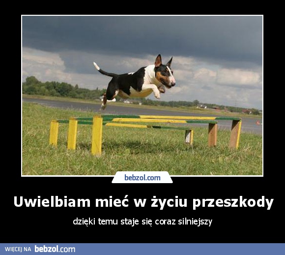 Uwielbiam mieć w życiu przeszkody