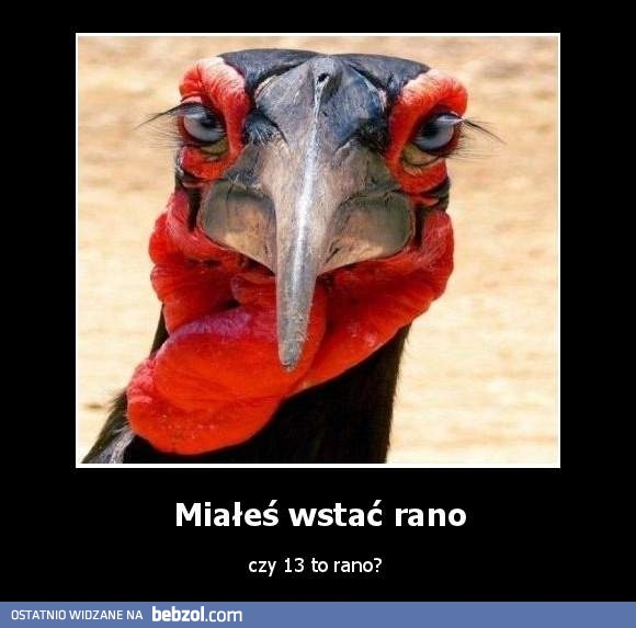 O której dzisiaj wstałeś?