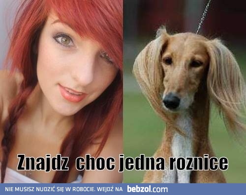 Dostrzegasz różnicę?