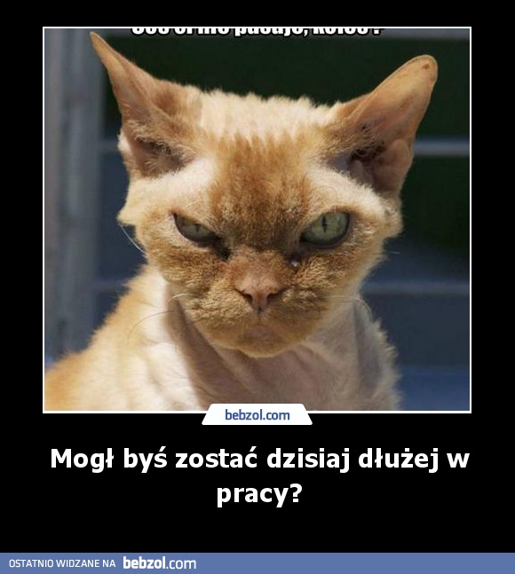 Mogł byś zostać dzisiaj dłużej w pracy?