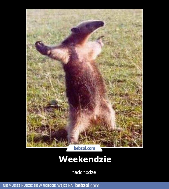 Weekendzie