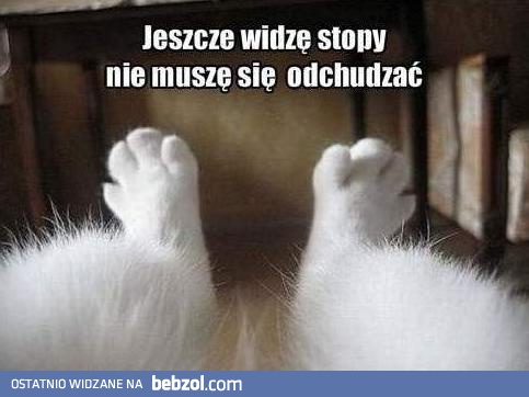 Grunt to widzieć stopy