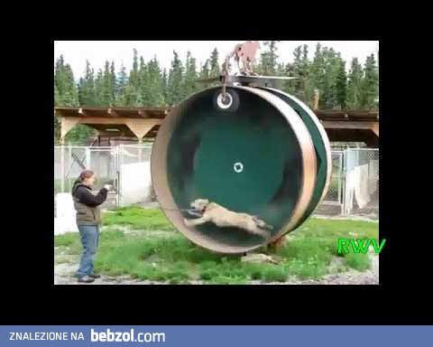 Kompilacja zwycięstw i porażek - sierpień 2012