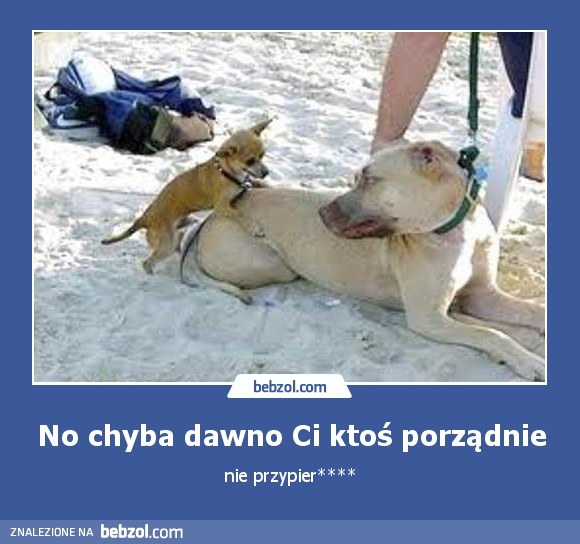 No chyba dawno Ci ktoś porządnie