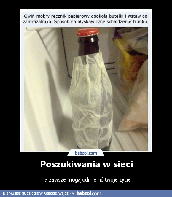 Poszukiwania w sieci