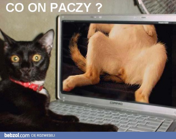 Co on paczy?