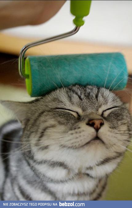 Każemu należy się odrobina pieszczot