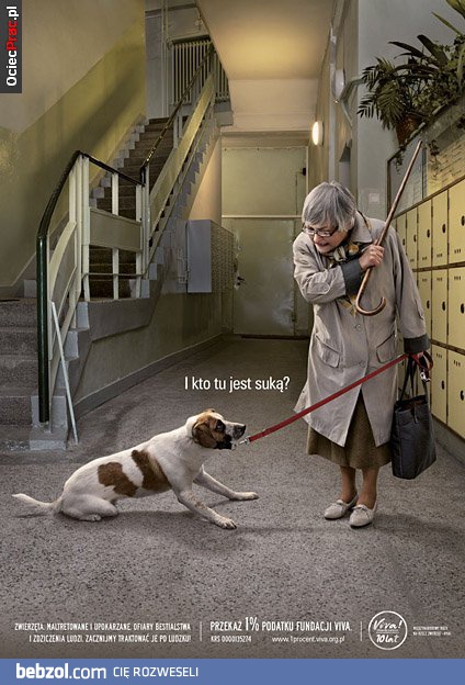 I kto tu jest suką?