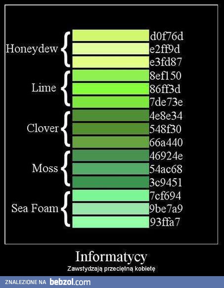 Informatycy potrafią zawstydzić kobiety
