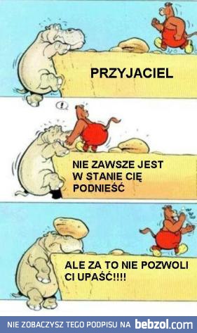 Prawdziwy przyjaciel!