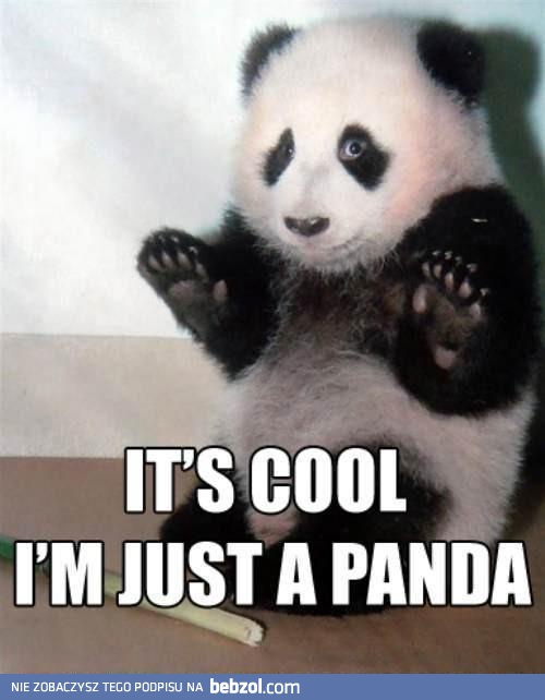 I'm just a panda