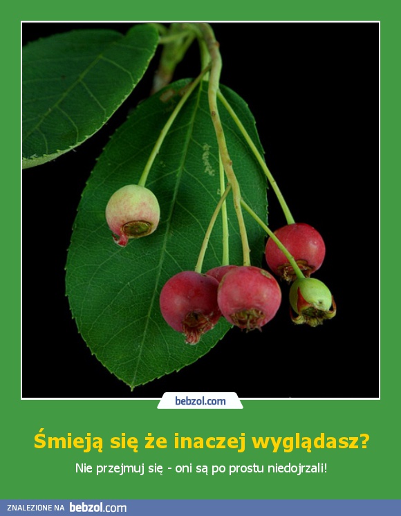 Śmieją się że inaczej wyglądasz?