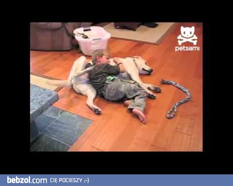 Wzajemna współpraca