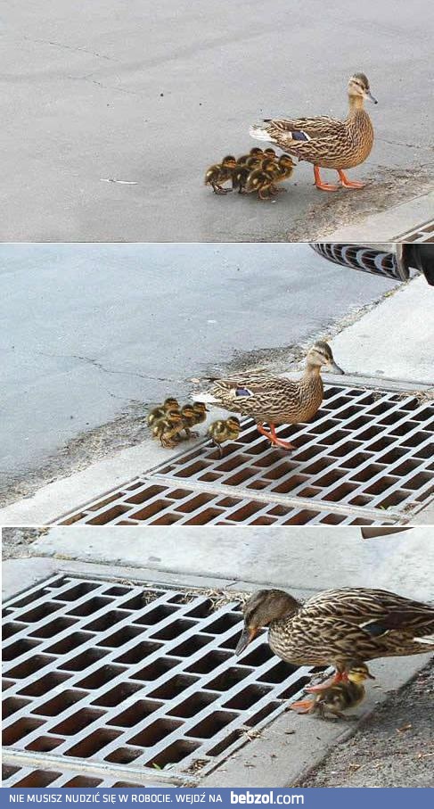 Należy patrzeć pod nogi 