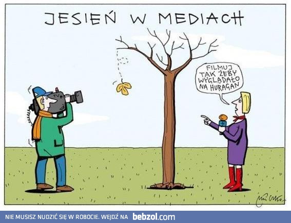 Cała prawda o mediach