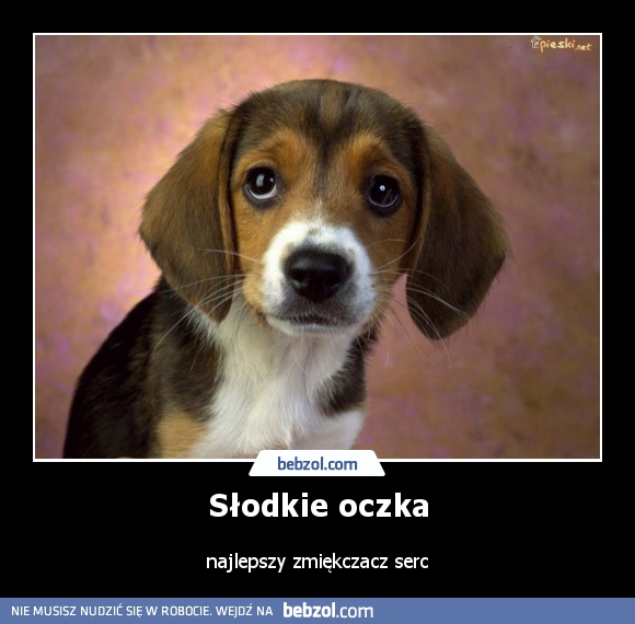 Słodkie oczka