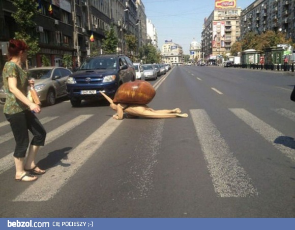 Tak widzę niektórych ludzi na pasach