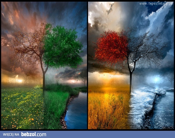 Którą porę roku lubicie najbardziej?