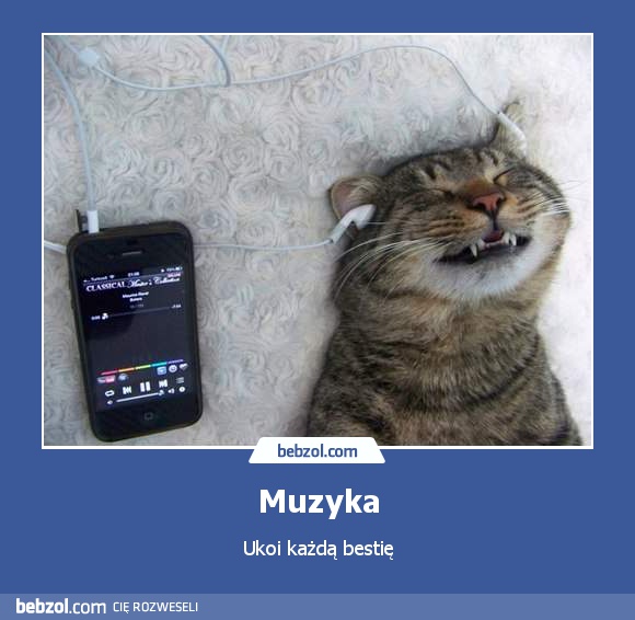 Muzyka