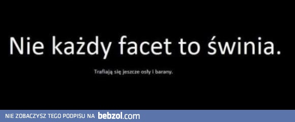 Nie każdy facet to świnia