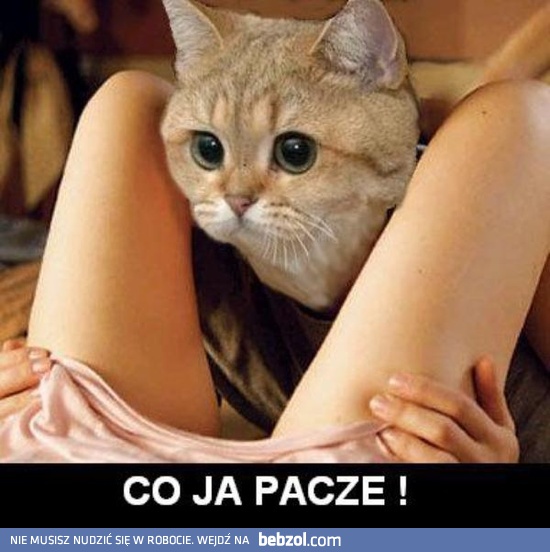 Ooo! Co ja pacze!