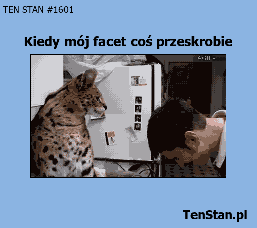 Kiedy facet coś przeskrobie