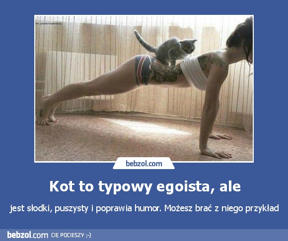 Kot to typowy egoista, ale