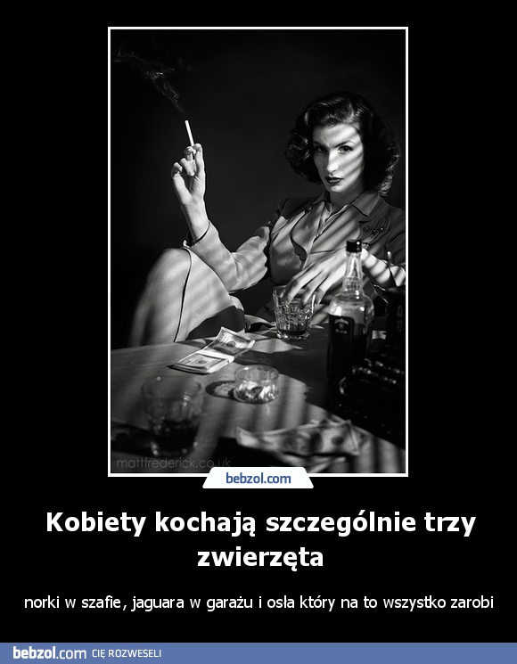 Kobiety kochają szczególnie trzy zwierzęta