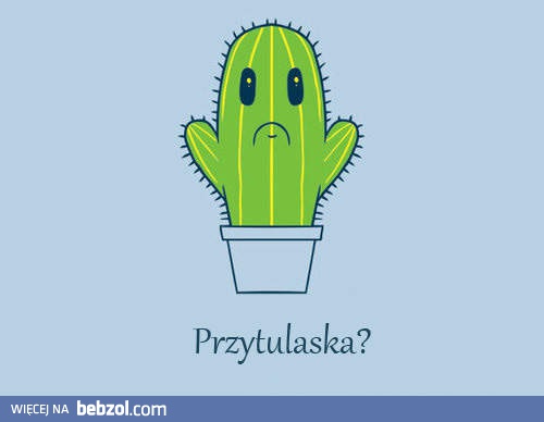 Przytulaska?