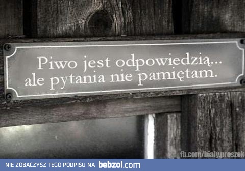 Piwo jest odpowiedzią