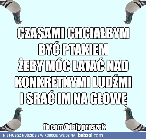 czasami chciałbym