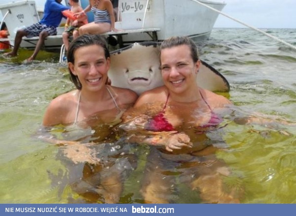 Płaszczka też lubi robić sobie zdjęcia